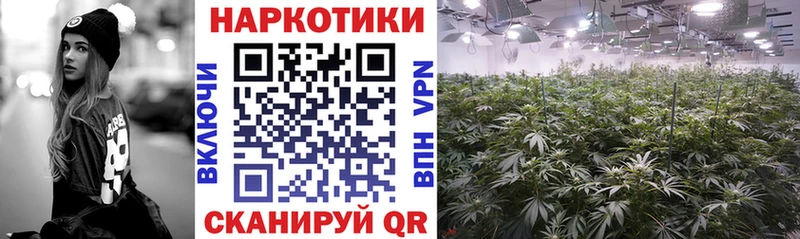 Наркошоп Гвардейск ГАШ  Галлюциногенные грибы  Alpha PVP  Меф мяу мяу  Канабис 